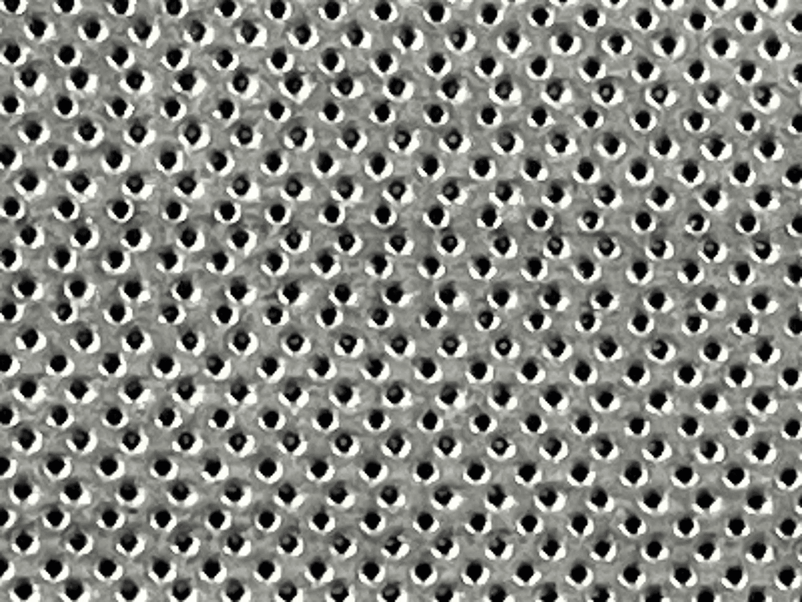 Perforated jali close-up